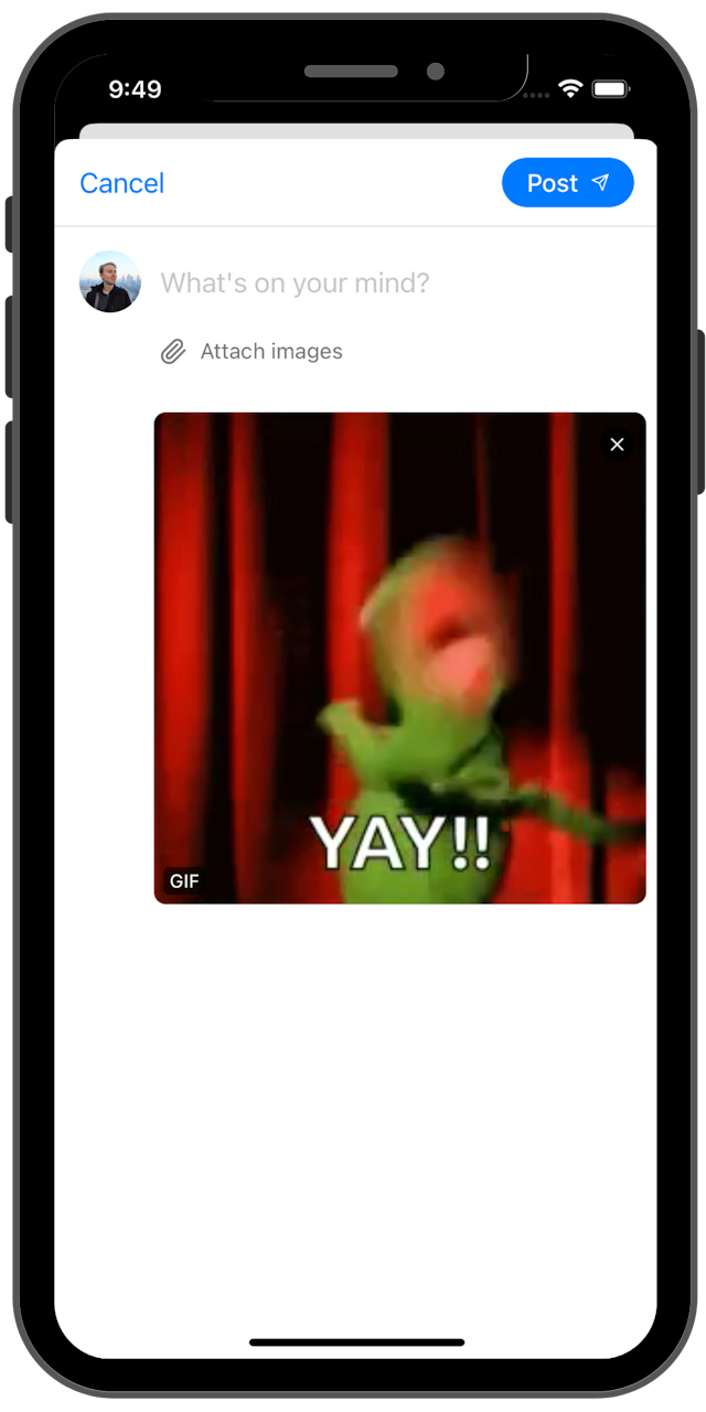 screenshot of Graysky post editor with a GIF